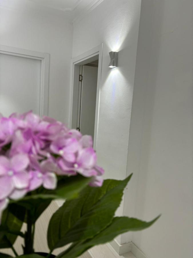 Center, Selvia White Apartment Tirana Exterior foto
